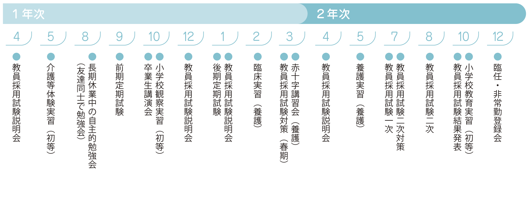 教員採用試験までのスケジュール